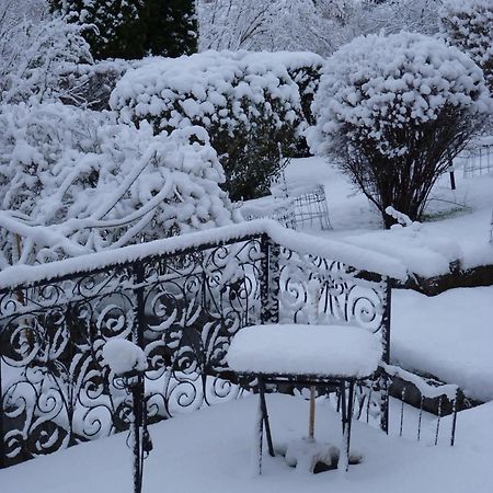 Studio Cosy Avec Vue Sur Lac Et Montagne A Gerardmer 30 M² 외부 사진